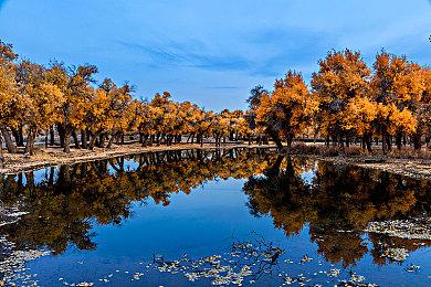 Epic圣诞每日喜加一更新 免费领取《掠食》